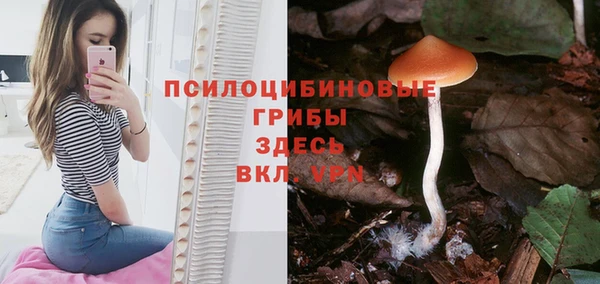 скорость Горно-Алтайск