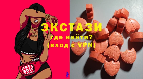 индика Медногорск